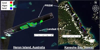 Using Remote Sensing and in situ Measurements for Efficient Mapping and Optimal Sampling of Coral Reefs